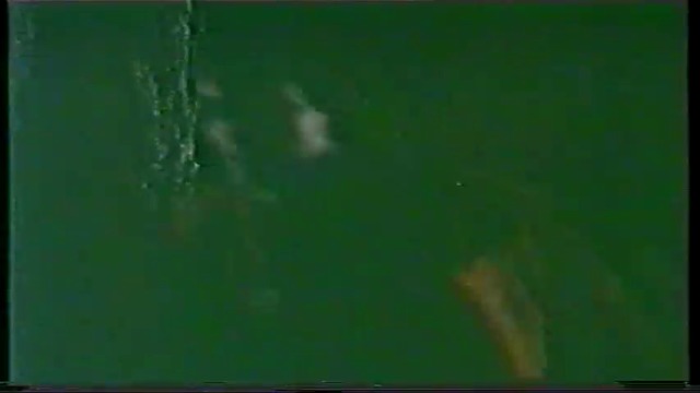 Ninja's Force / Невидимият Нинджа 1984 ЧАСТ 2