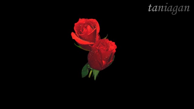 НИЕ СМЕ ВЛЮБЕНИ - Евгени Душанов