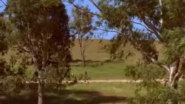 Дъщерите на Маклауд ( McLeod's Daughters - Through The Looking Glass ) S02 E02